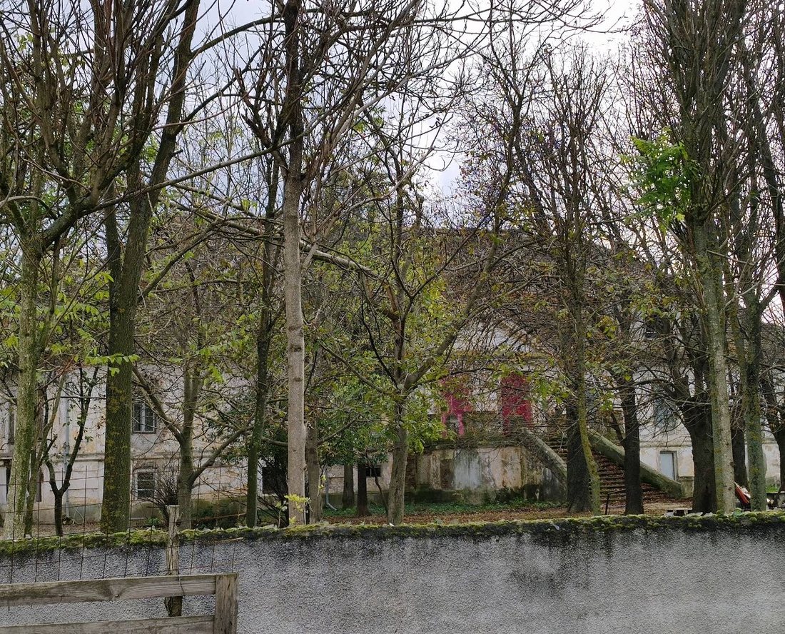 Le manoir vu à travers des arbres dénudés derrière un mur couvert de mousse, avec un escalier de pierre montant à l’étage.